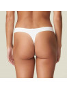 Tanga AVERO marie jo