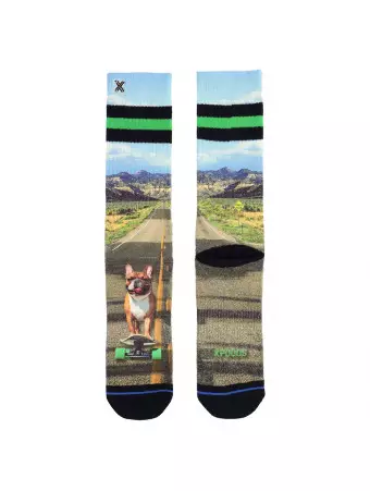 Chaussettes Homme SKATING DOG