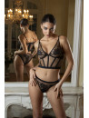 Lise charmel Bustier suspenders ADORABLE EN SEXY