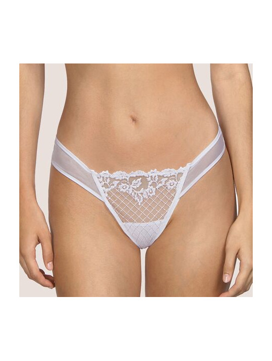 andres sarda Tanga WOLFE