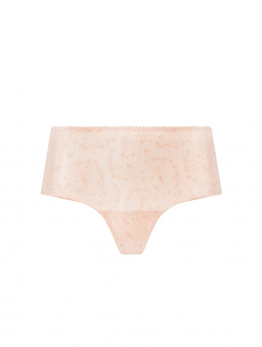 Antigel Shorty SOUS LES OMBELLES