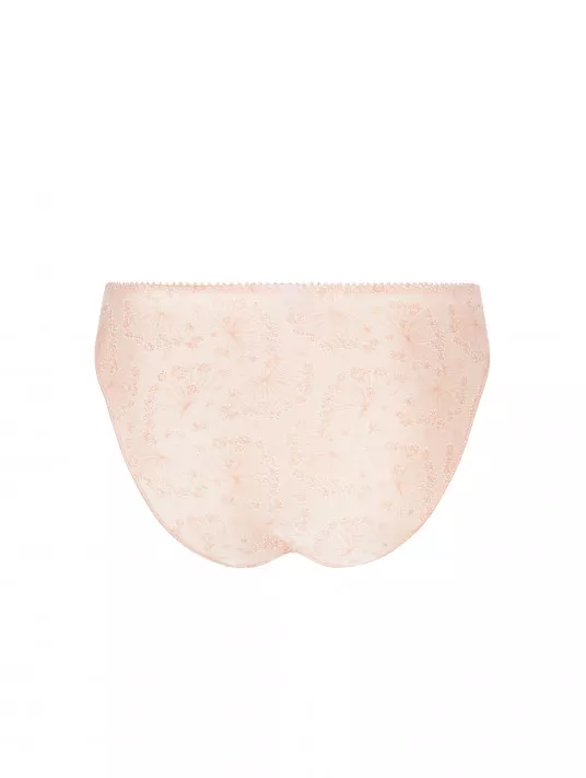 Antigel Briefs SOUS LES OMBELLES Antigel Briefs SOUS LES OMBELLES