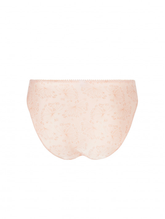 Antigel Briefs SOUS LES OMBELLES