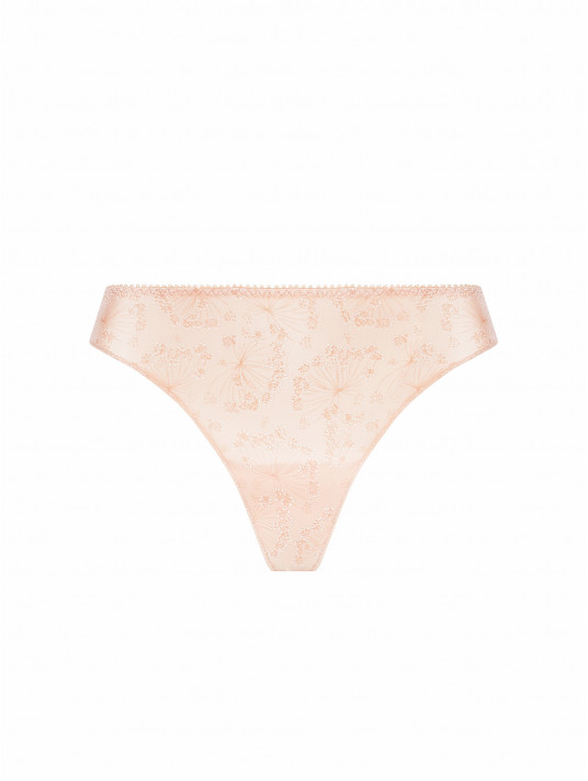 Antigel Tanga SOUS LES OMBELLES