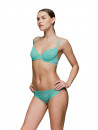SARDA Brazilian brief AMELIA