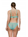 SARDA Brazilian brief AMELIA