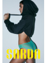 SARDA Brazilian brief AMELIA