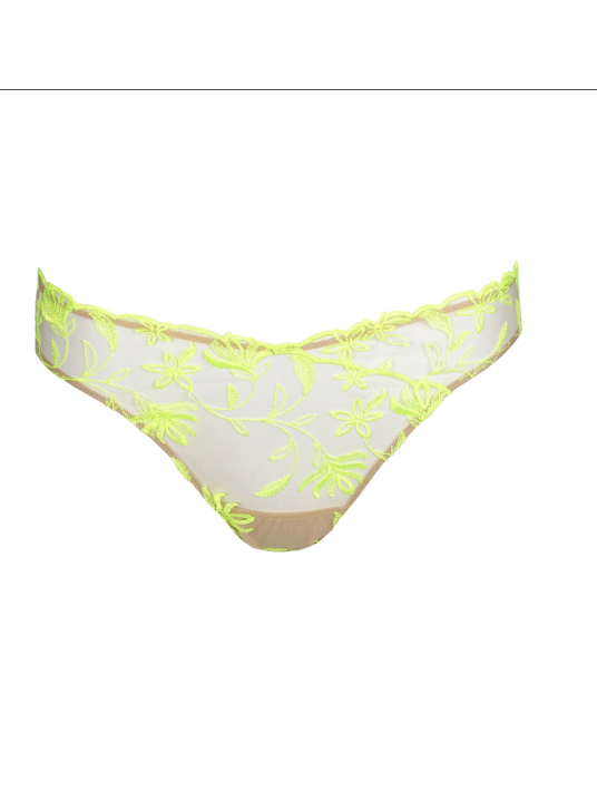 Sarda Radiance rio brief SHAY