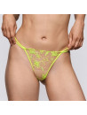 Sarda Mini String radiance SHAY