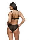 SARDA Brazilian Brief CHALMERS