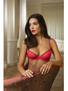 Lise Charmel Soutien-gorge coque grenat DESIRS DE VENISE
