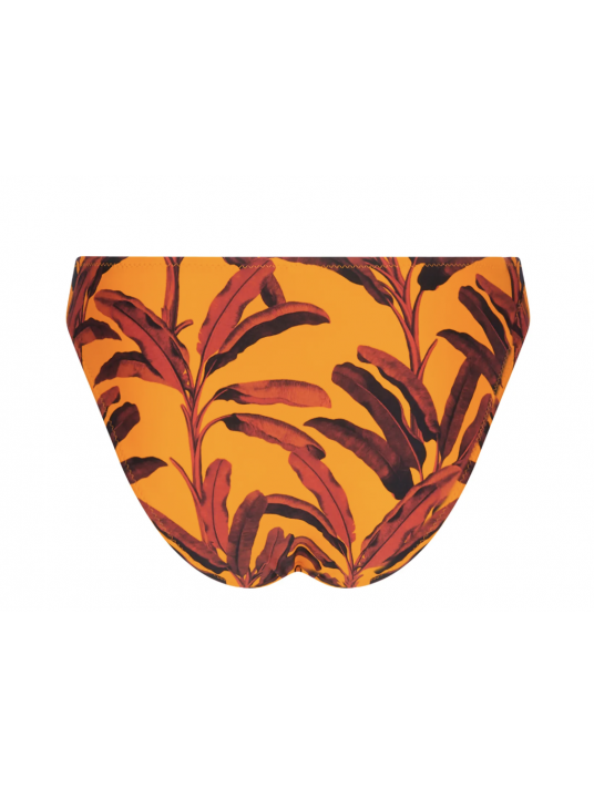 ANTIGEL La Melanesia Bikini Bottom