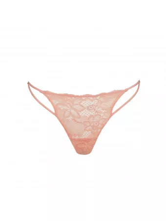 SARDA String AMELIA