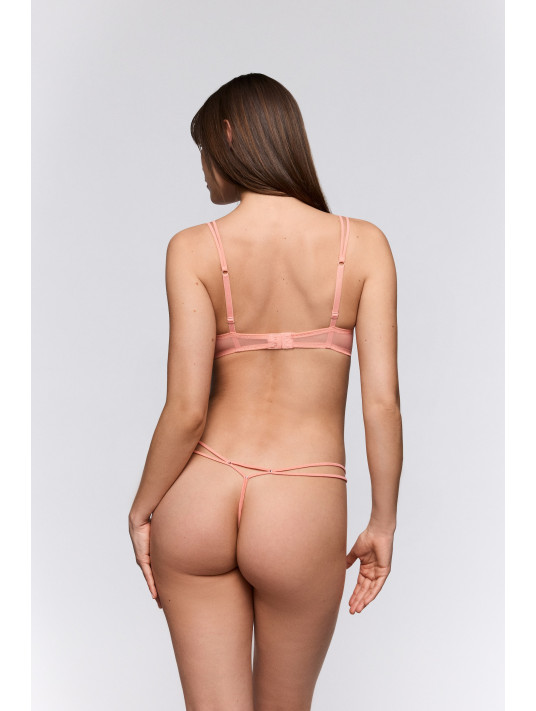 SARDA String AMELIA