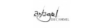Antigel lingerie and swimsuits